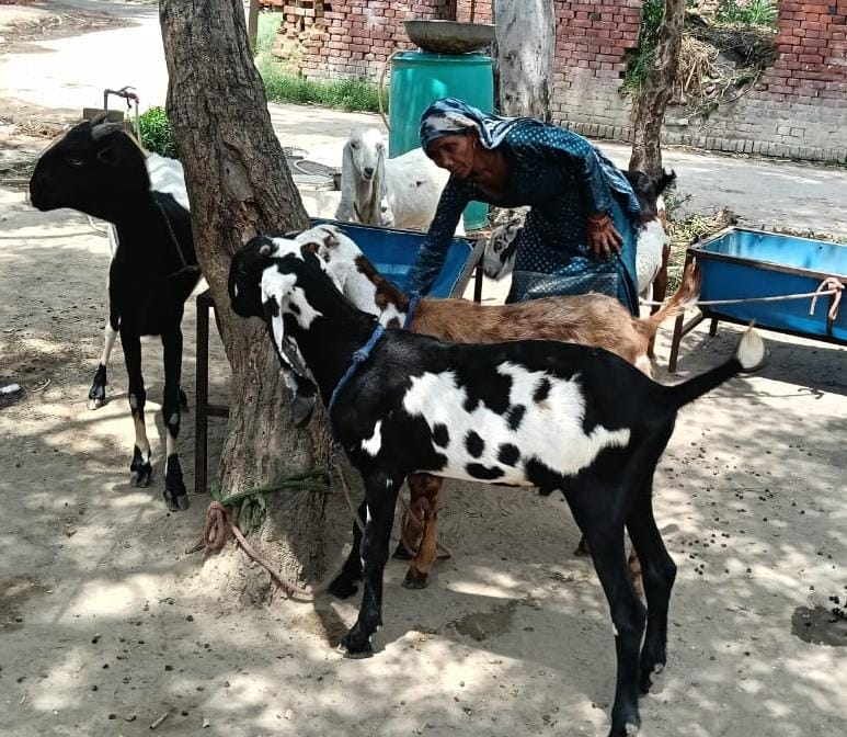 7a1edba5-d167-46ab-b265-d4e7892e13fb