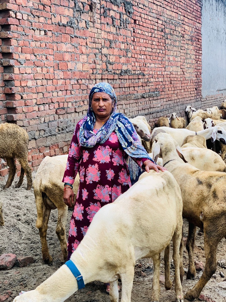 WhatsApp Image 2025-08-12 at 4.01.25 PM