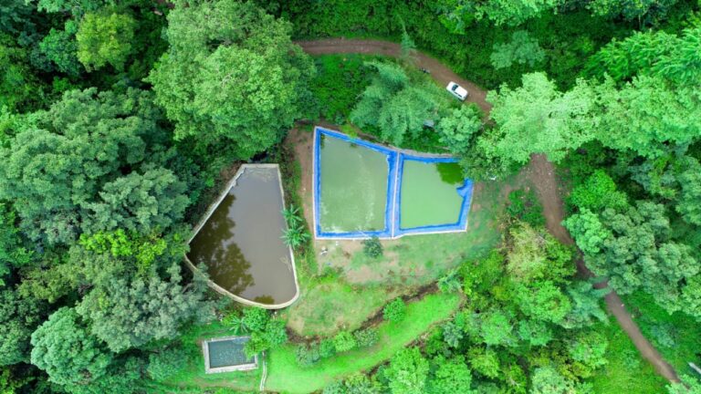 95c82c62-b980-48d5-8677-f293e56a025e