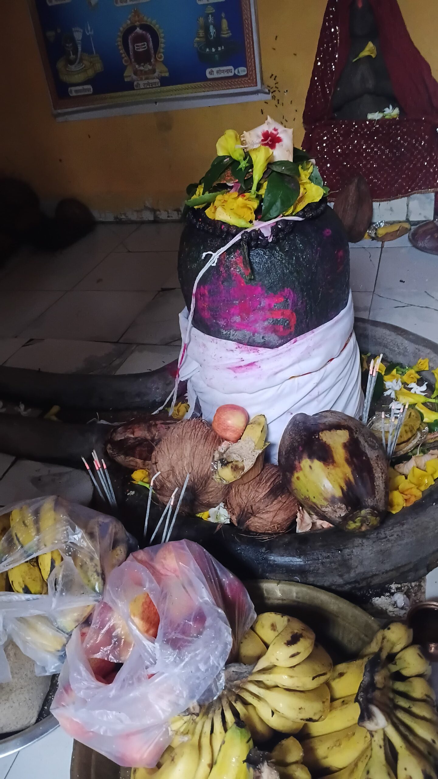 IMG-20260817-WA0063
