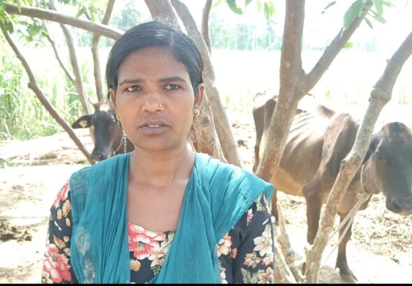 IMG-20261028-WA0056